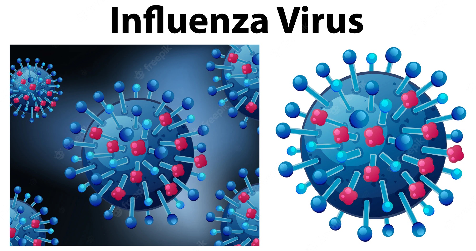 10 Jenis Virus Legendaris dan Paling Mematikan Terhadap Manusia